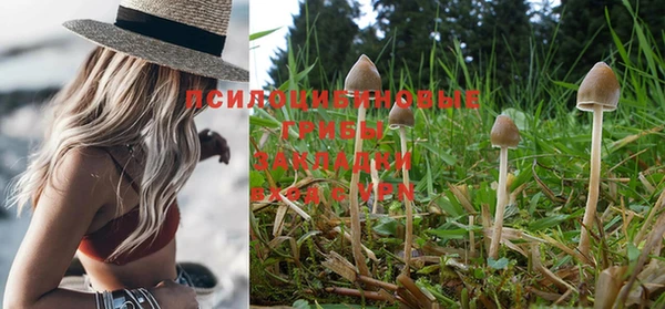 spice Абдулино